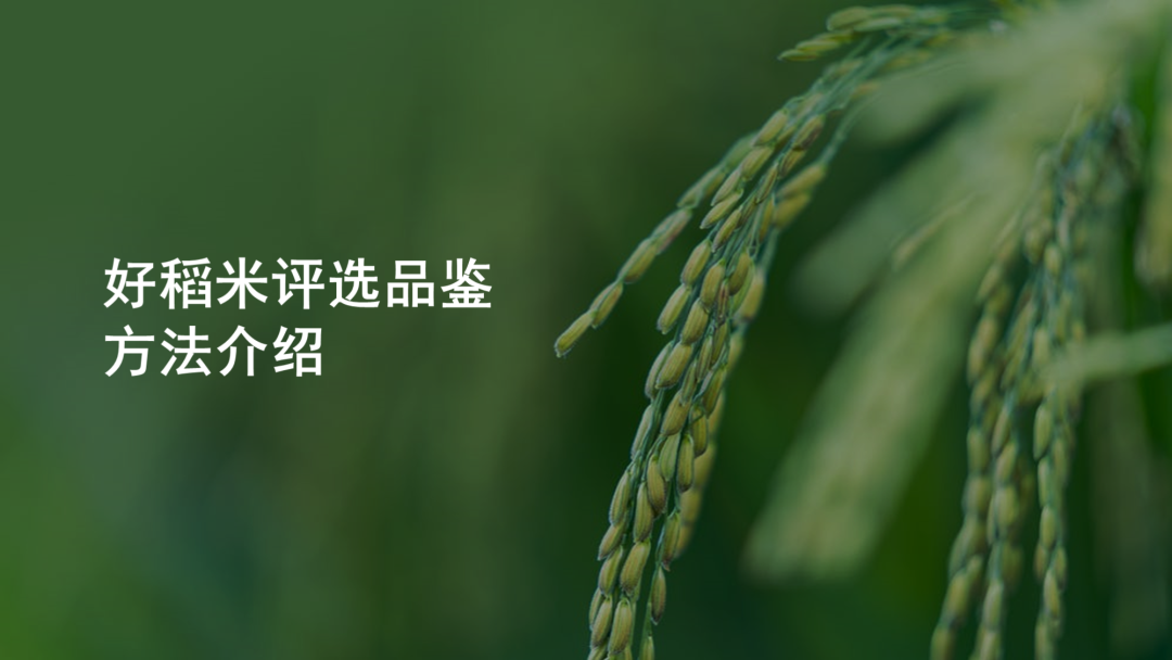 同事的PPT封面文案这样写！被老板狠狠的夸了...