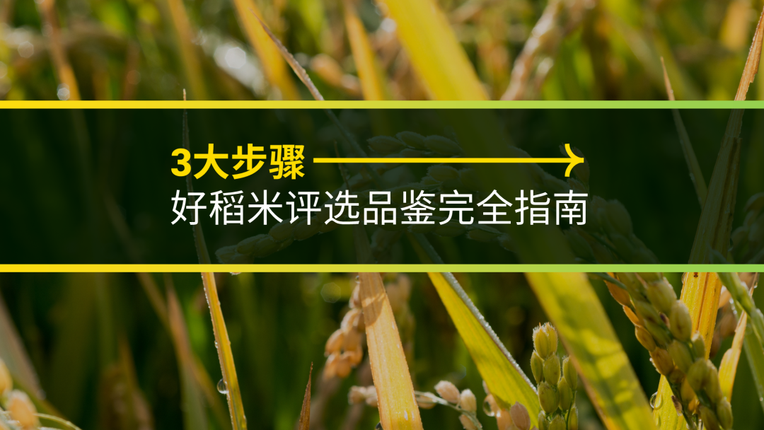 同事的PPT封面文案这样写！被老板狠狠的夸了...
