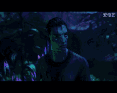 401ce80510bb229cd8d74de08aa3fd2a