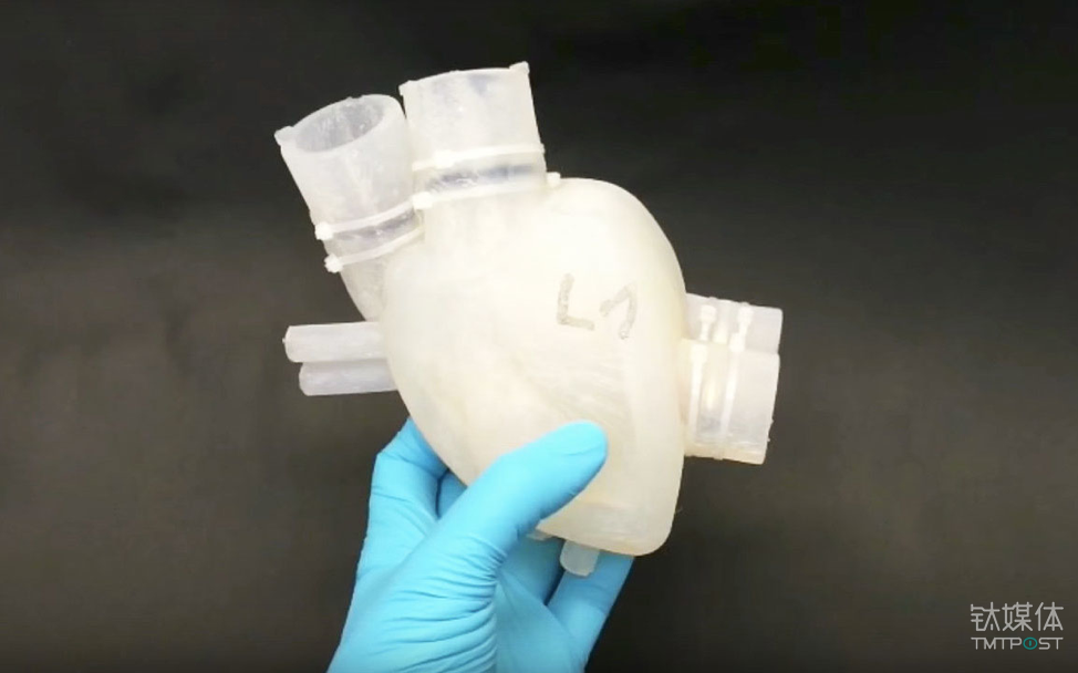 瑞士苏黎世联邦理工研究团队研究出来的3D打印出的人造心脏 （来源：www.ethz.ch）